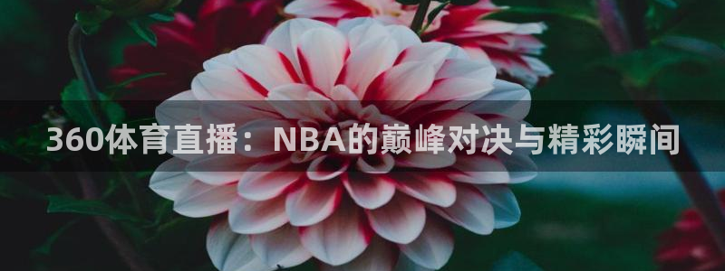 360体育直播：NBA的巅峰对决与精彩瞬间