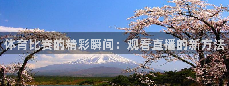 体育比赛的精彩瞬间：观看直播的新方法