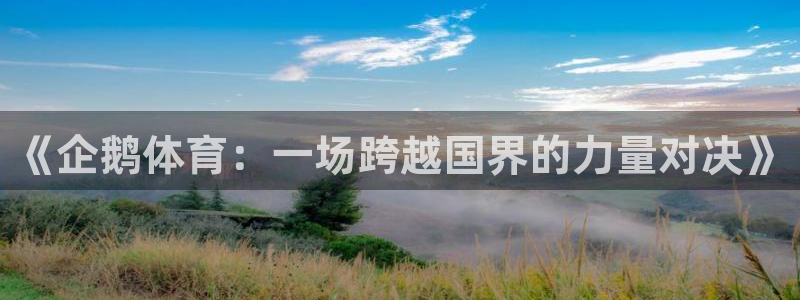 《企鹅体育：一场跨越国界的力量对决》