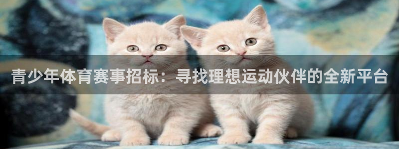 青少年体育赛事招标：寻找理想运动伙伴的全新平台