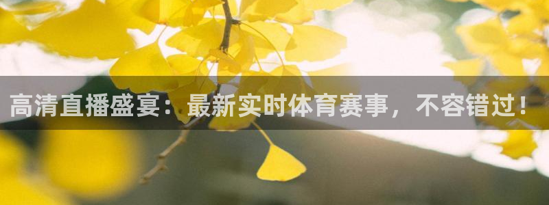 高清直播盛宴：最新实时体育赛事，不容错过！