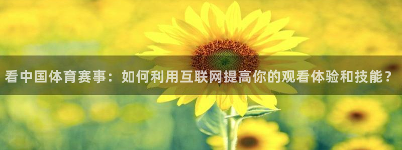 看中国体育赛事：如何利用互联网提高你的观看体验和技能？