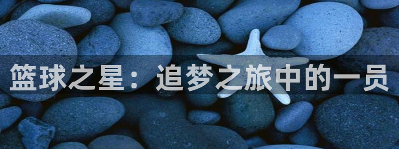 篮球之星：追梦之旅中的一员