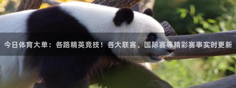今日体育大单：各路精英竞技！各大联赛、国际赛等精彩赛事实时更新
