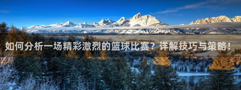 如何分析一场精彩激烈的篮球比赛？详解技巧与策略！