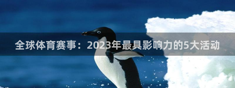全球体育赛事：2023年最具影响力的5大活动