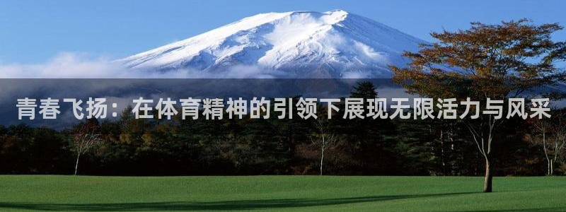 青春飞扬：在体育精神的引领下展现无限活力与风采