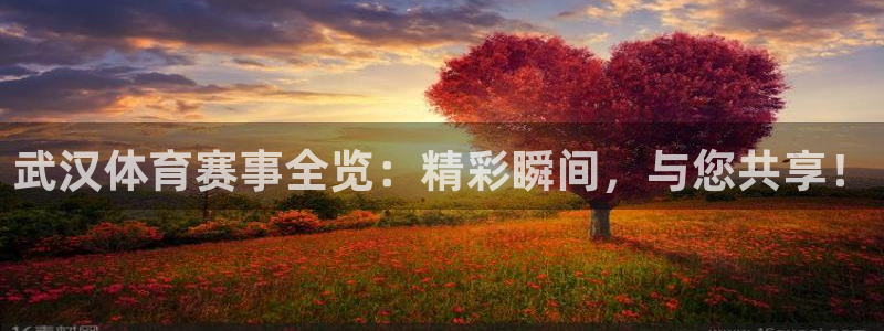 武汉体育赛事全览：精彩瞬间，与您共享！