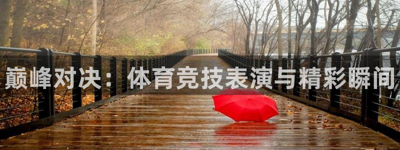 巅峰对决：体育竞技表演与精彩瞬间