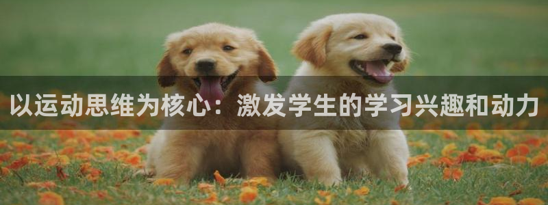 以运动思维为核心：激发学生的学习兴趣和动力