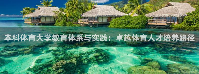 本科体育大学教育体系与实践：卓越体育人才培养路径