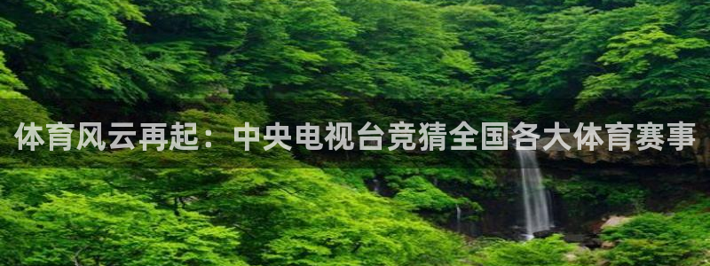 体育风云再起：中央电视台竞猜全国各大体育赛事