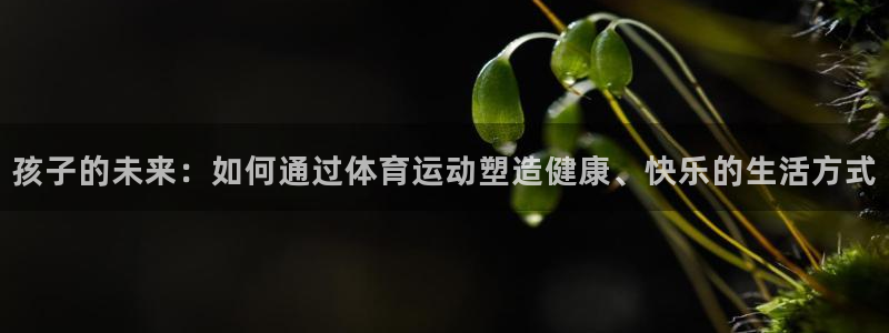 孩子的未来：如何通过体育运动塑造健康、快乐的生活方式