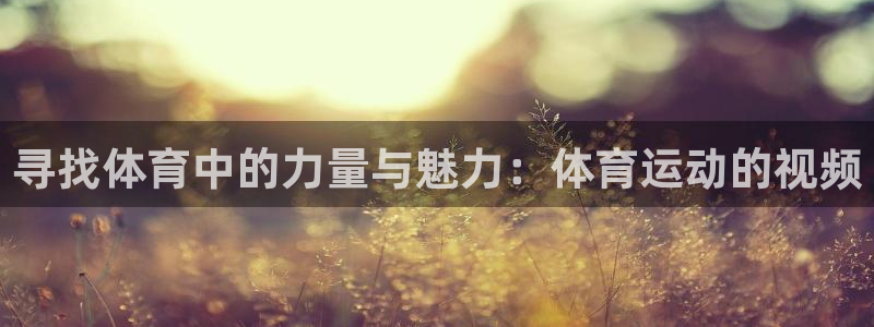 寻找体育中的力量与魅力：体育运动的视频