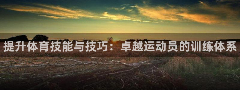 提升体育技能与技巧：卓越运动员的训练体系