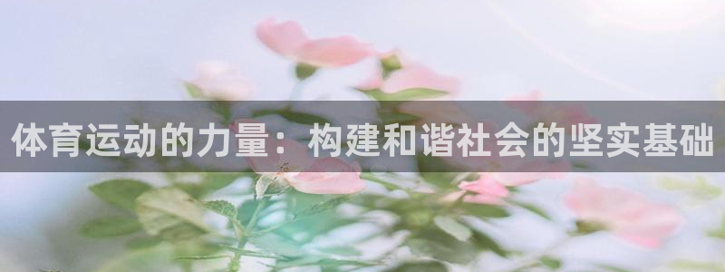 体育运动的力量：构建和谐社会的坚实基础