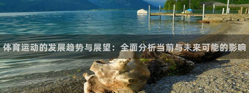 体育运动的发展趋势与展望：全面分析当前与未来可能的影响