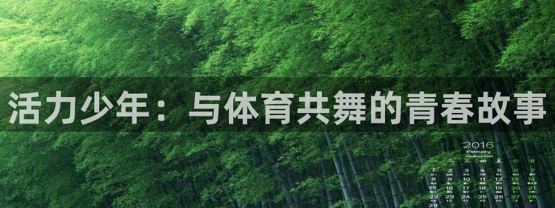 活力少年：与体育共舞的青春故事