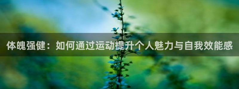 体魄强健：如何通过运动提升个人魅力与自我效能感