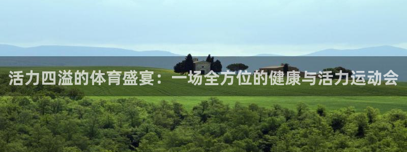 活力四溢的体育盛宴：一场全方位的健康与活力运动会