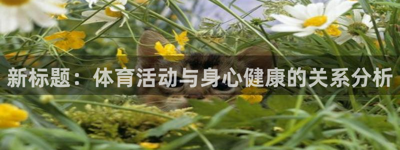 新标题：体育活动与身心健康的关系分析