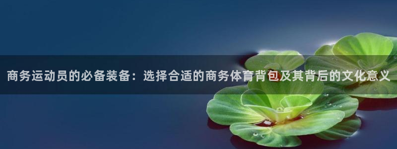 商务运动员的必备装备：选择合适的商务体育背包及其背后的文化意义
