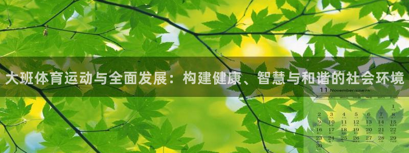 大班体育运动与全面发展：构建健康、智慧与和谐的社会环境