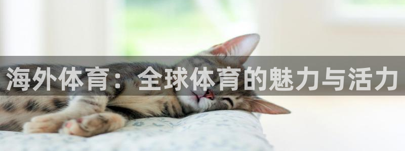海外体育：全球体育的魅力与活力