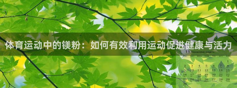 体育运动中的镁粉：如何有效利用运动促进健康与活力