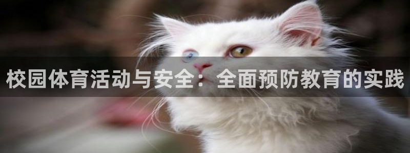 校园体育活动与安全：全面预防教育的实践