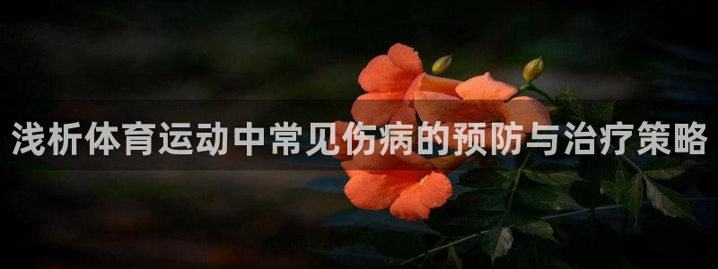浅析体育运动中常见伤病的预防与治疗策略