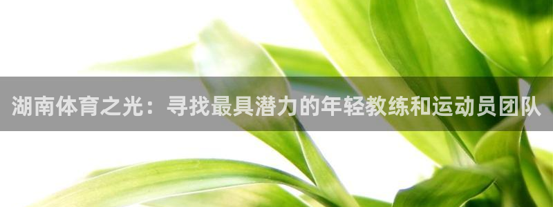 湖南体育之光：寻找最具潜力的年轻教练和运动员团队