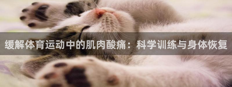缓解体育运动中的肌肉酸痛：科学训练与身体恢复