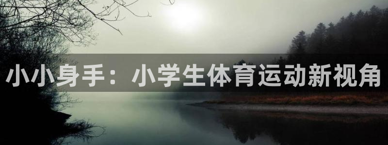小小身手：小学生体育运动新视角