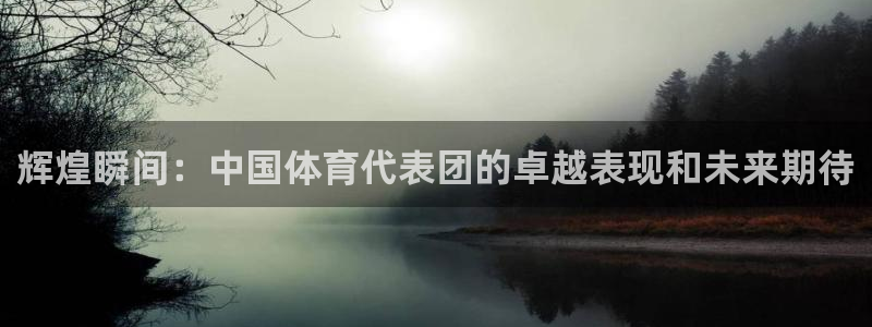 辉煌瞬间：中国体育代表团的卓越表现和未来期待