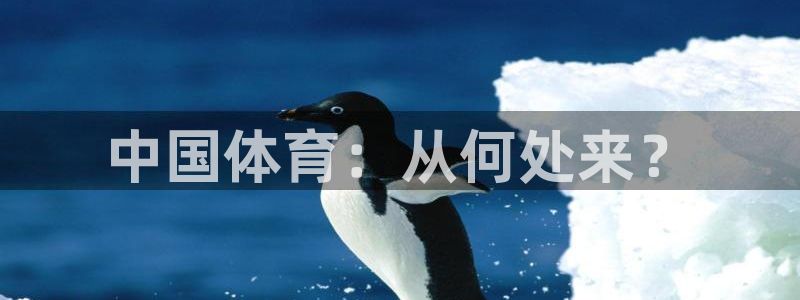 中国体育：从何处来？