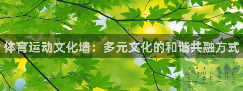 体育运动文化墙：多元文化的和谐共融方式