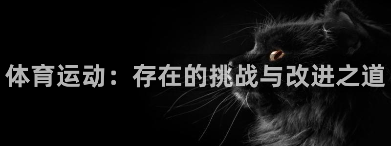 体育运动：存在的挑战与改进之道