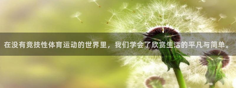 在没有竞技性体育运动的世界里，我们学会了欣赏生活的平凡与简单。
