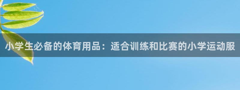 小学生必备的体育用品：适合训练和比赛的小学运动服