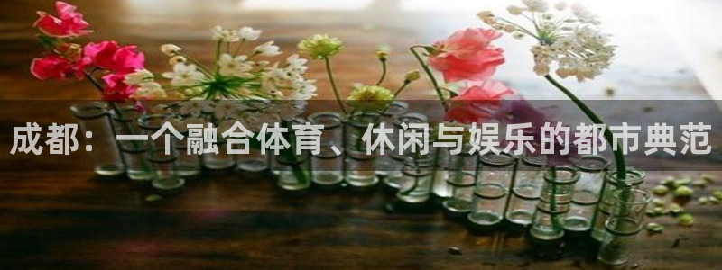 成都：一个融合体育、休闲与娱乐的都市典范