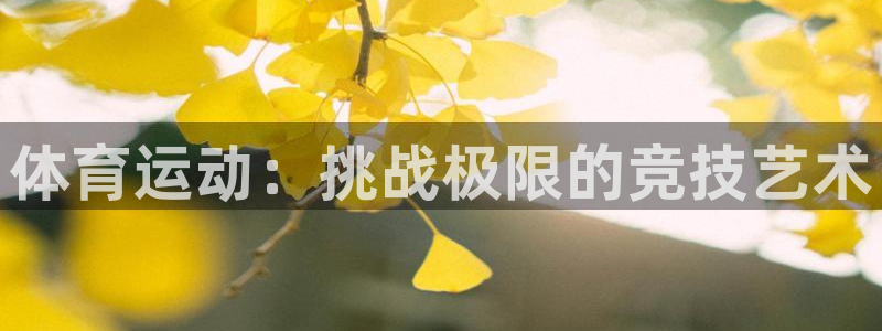体育运动：挑战极限的竞技艺术