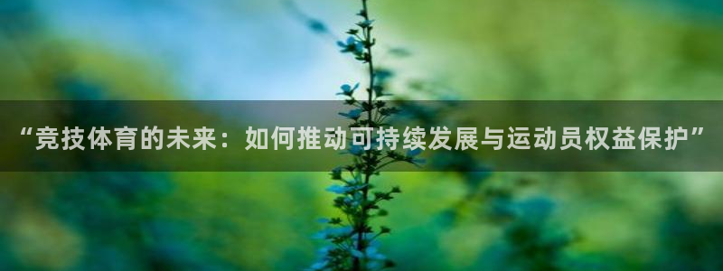 “竞技体育的未来：如何推动可持续发展与运动员权益保护”