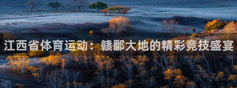 江西省体育运动：赣鄱大地的精彩竞技盛宴