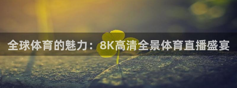 全球体育的魅力：8K高清全景体育直播盛宴