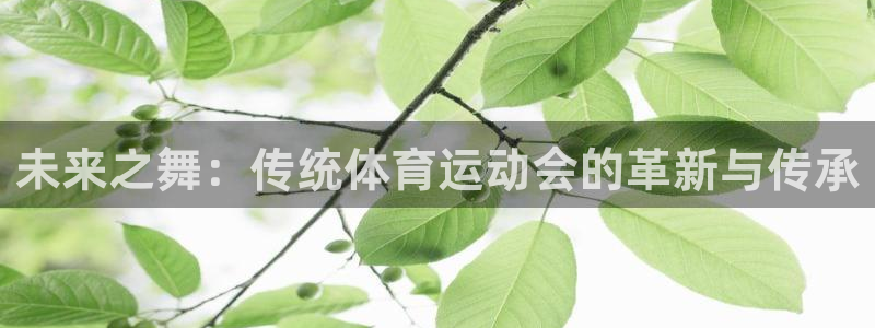 未来之舞：传统体育运动会的革新与传承