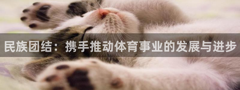 民族团结：携手推动体育事业的发展与进步