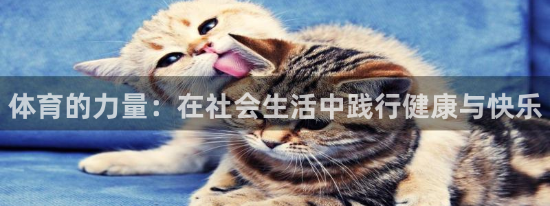 体育的力量：在社会生活中践行健康与快乐